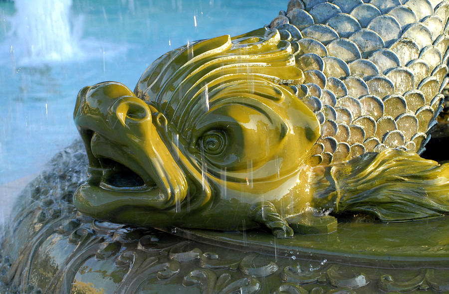Fountain fish Photograph by David Lee Thompson