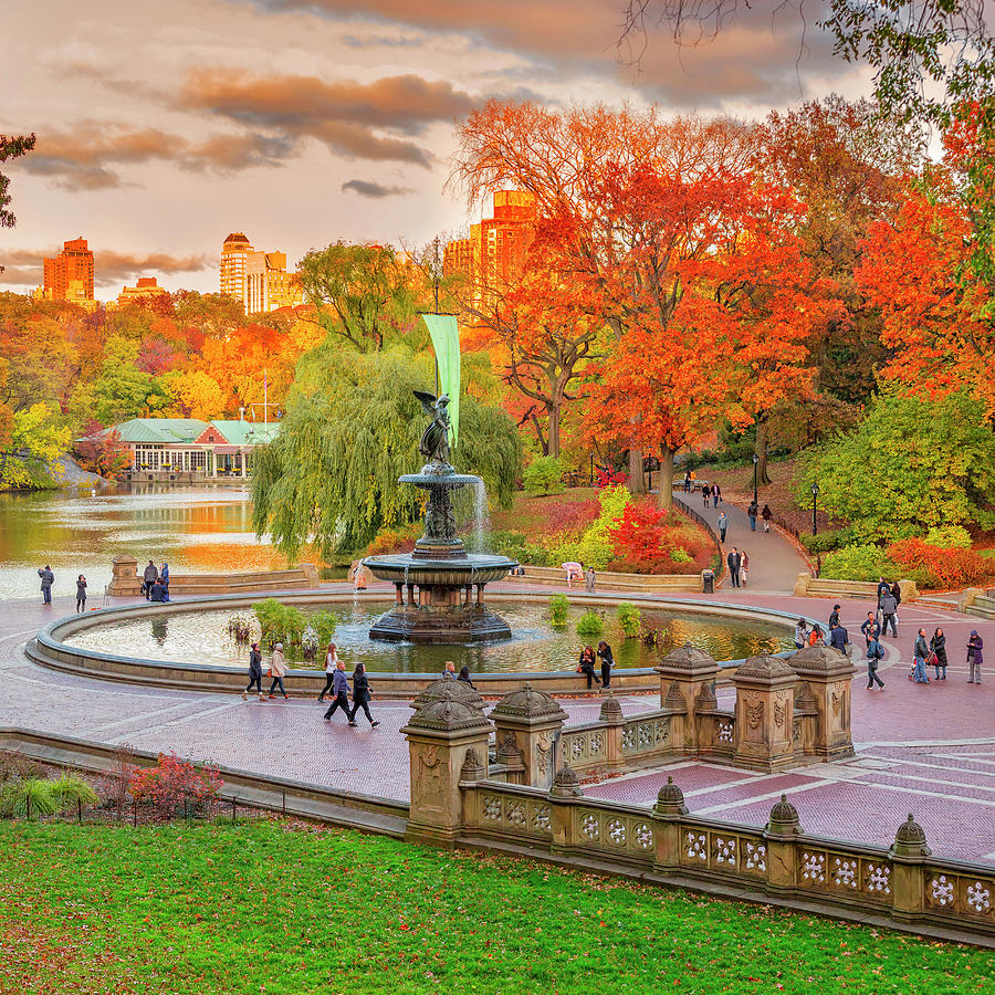 Fountain In Central Park, Nyc Digital Art by Pietro Canali