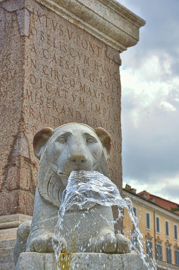 Fountain Lion Photograph by JAMART Photography