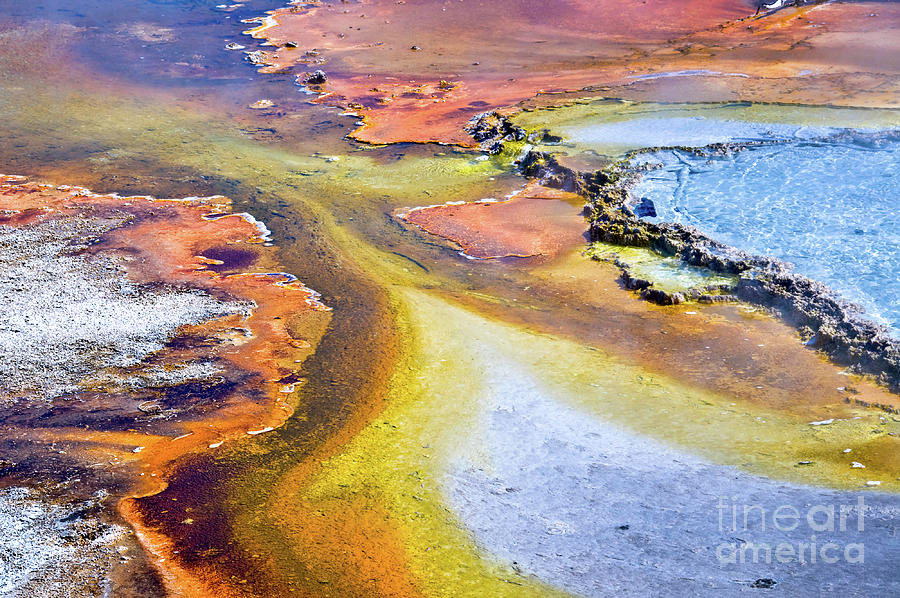 Fountain Paint Pot, lower geyser basin, Yellowstone Photograph by Delphimages Photo Creations