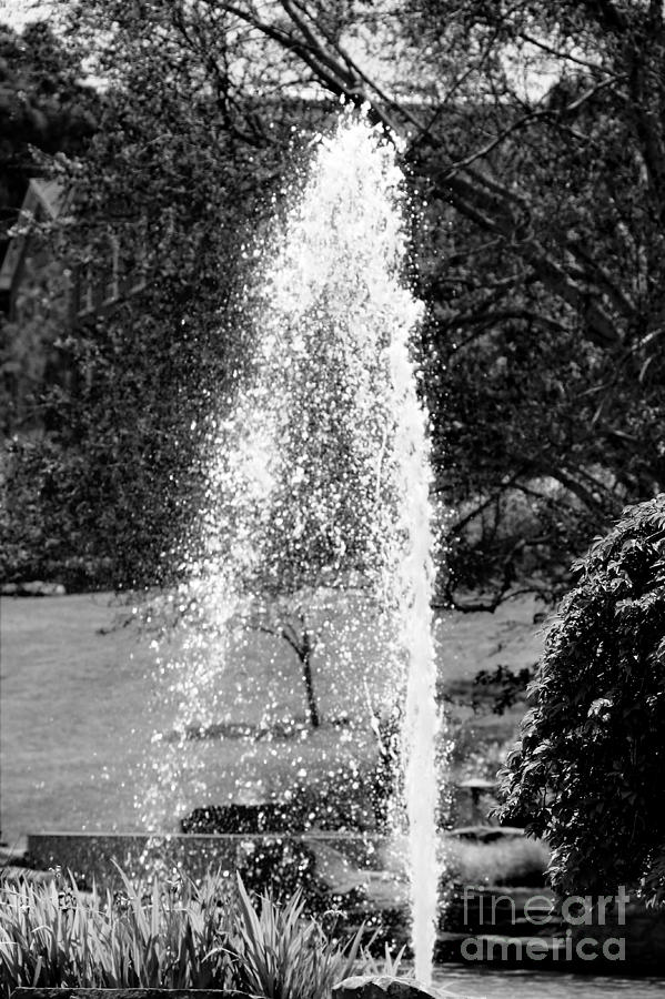 Fountain Spray In Black And White Photograph