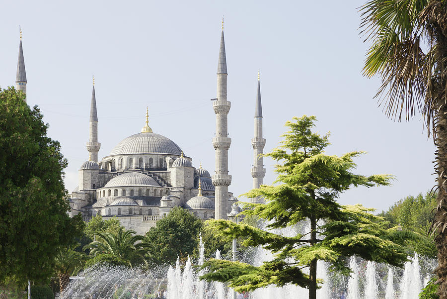 Fountains And Blue Mosque Photograph by David Madison
