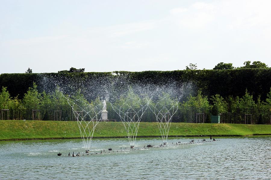 Fountains In A Pond In The Garden Of The Palace Of Versailles Photograph by Angelica Linnhoff