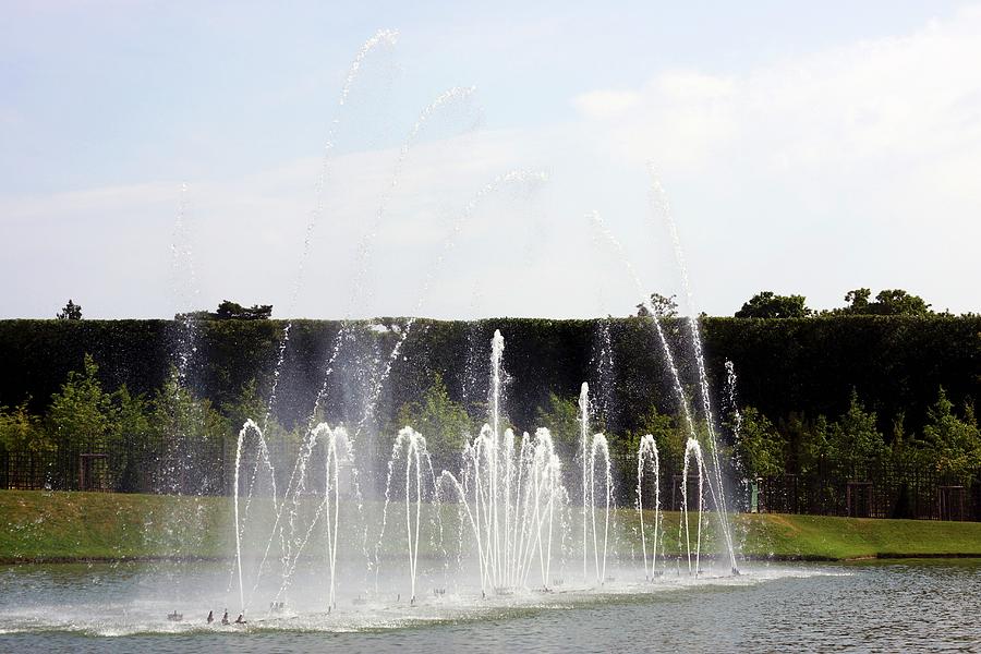 Fountains In Basin In The Park Of The Palace Of Versailles Photograph by Angelica Linnhoff