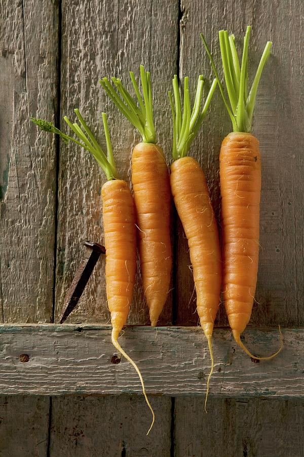 Four Carrots Leaning Against A Rustic Wooden Wall Photograph by Blueberrystudio