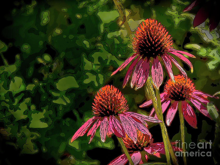 Four Coneflowers by Marty Faulkner Four Coneflowers by Marty Faulkner
