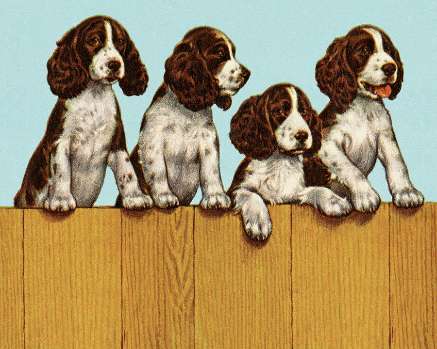 Vintage Drawing - Four Dogs Standing on a Fence by CSA Images