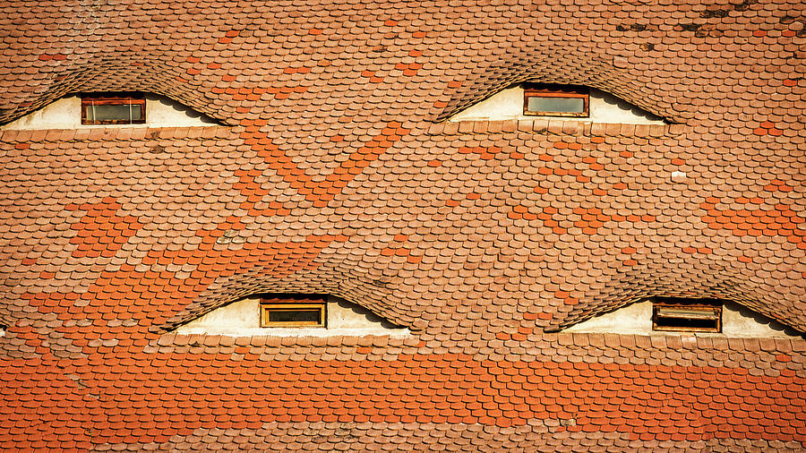 Four Eye Windows - Romania Photograph by Stuart Litoff