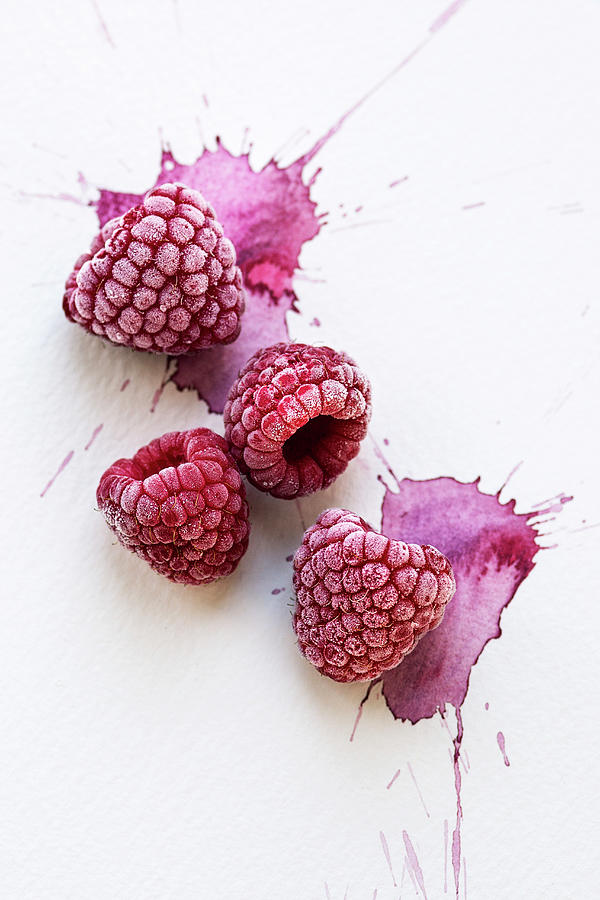 Four Frozen Raspberries On A Watercolour Painted Background Photograph by Stacy Grant