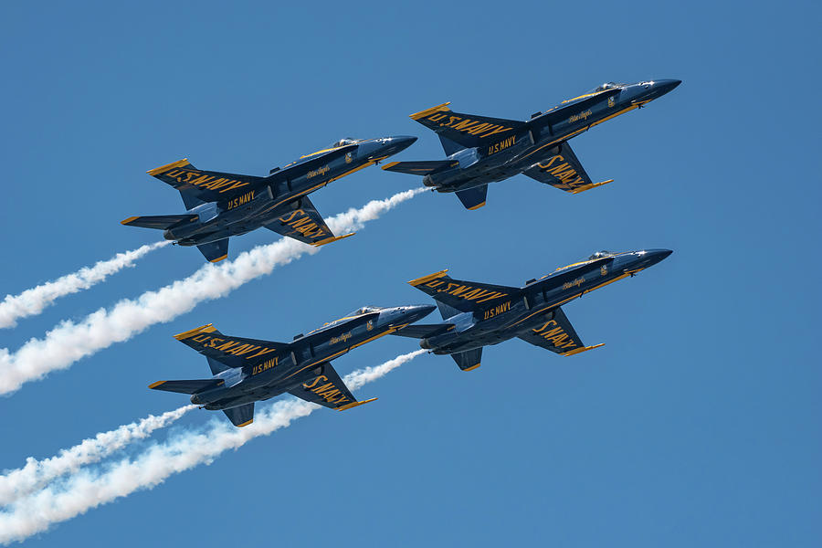 Four in Formation Photograph by Rose Guinther