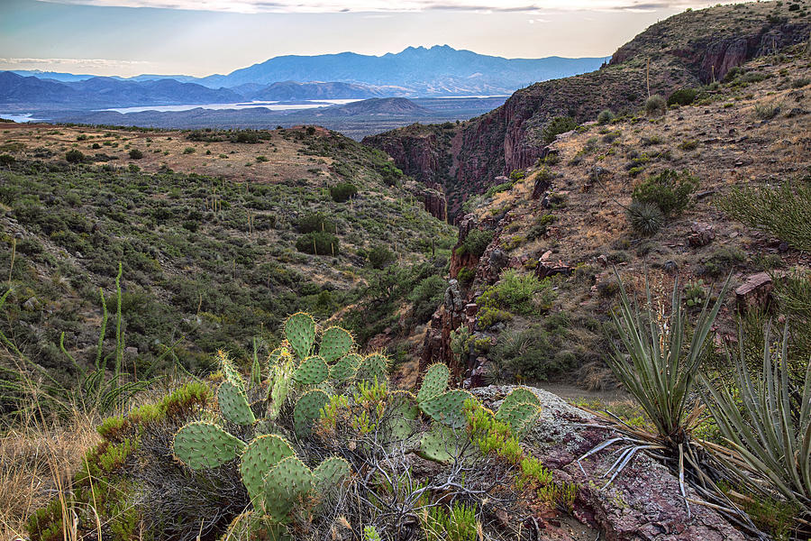 four peaks canyons and prickly pear horizontal by Dave Dilli four peaks canyons and prickly pear horizontal by Dave Dilli