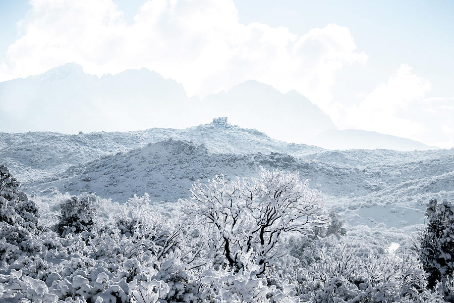 Four Peaks Mountain View by Veronika Countryman Four Peaks Mountain View by Veronika Countryman