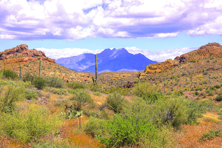 Four Peaks Mtn Photograph by Susan Buscho - Fine Art America