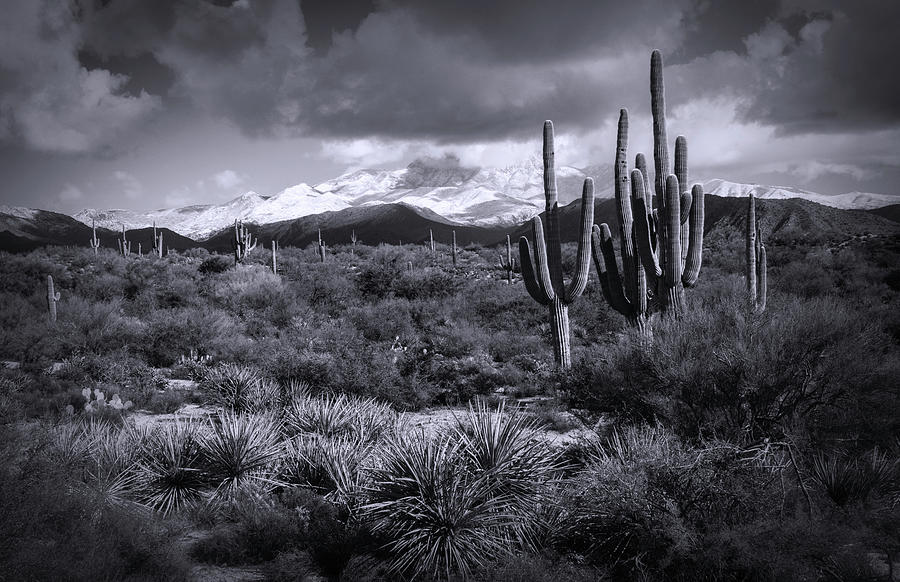 Four Peaks On A Snow Day In Black And White  Photograph by Saija Lehtonen