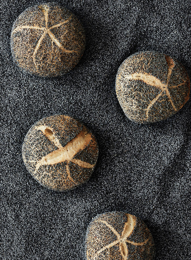 Four Poppy Seed Rolls On Poppy Seeds Photograph by Sylvia Meyborg