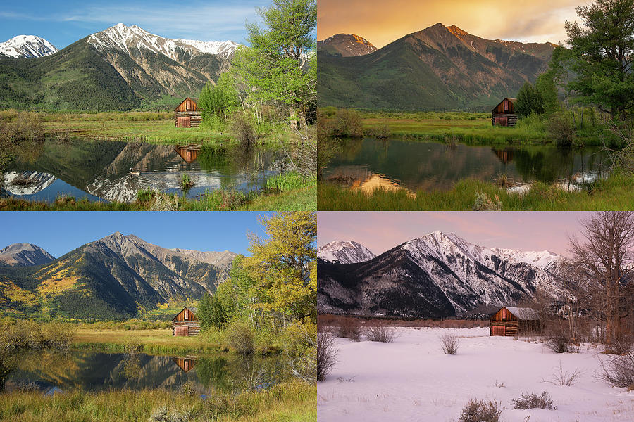 Four Seasons - Sawatch Cabin Photograph by Aaron Spong