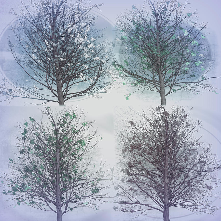 Four Seasons Square Cool Gray Tones Digital Art by Debra and Dave Vanderlaan