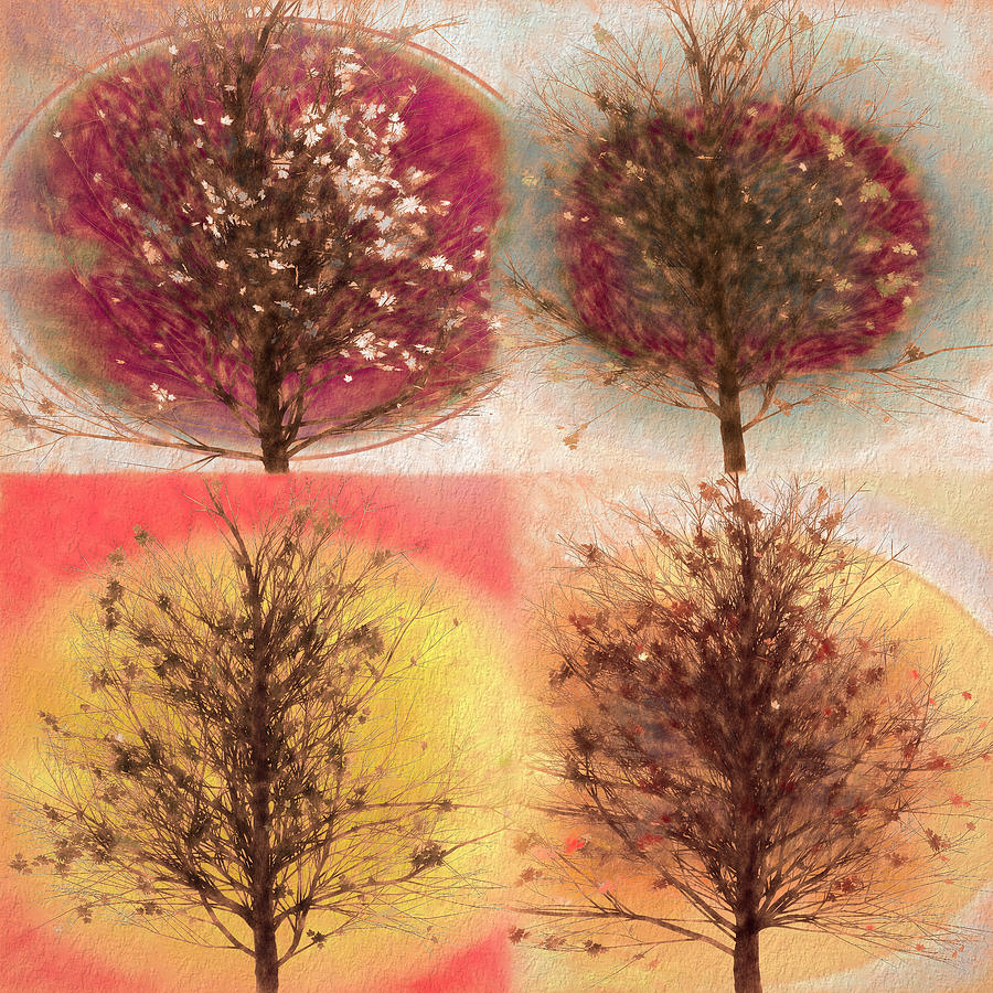 Four Seasons Square Nature Tones Digital Art by Debra and Dave Vanderlaan