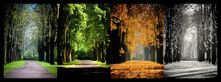 Four Seasons Photograph by Sören Lubitz Photography Four Seasons Photograph by Sören Lubitz Photography