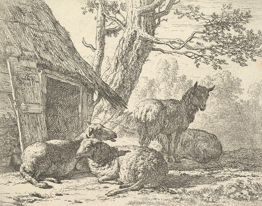 Four sheep, one sheep stands among three others Relief by Karel Dujardin