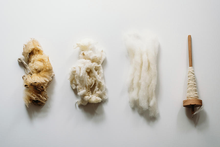 Four Stages: Raw Wool, Washed Wool, Combed Wool And Yarn Photograph by ...