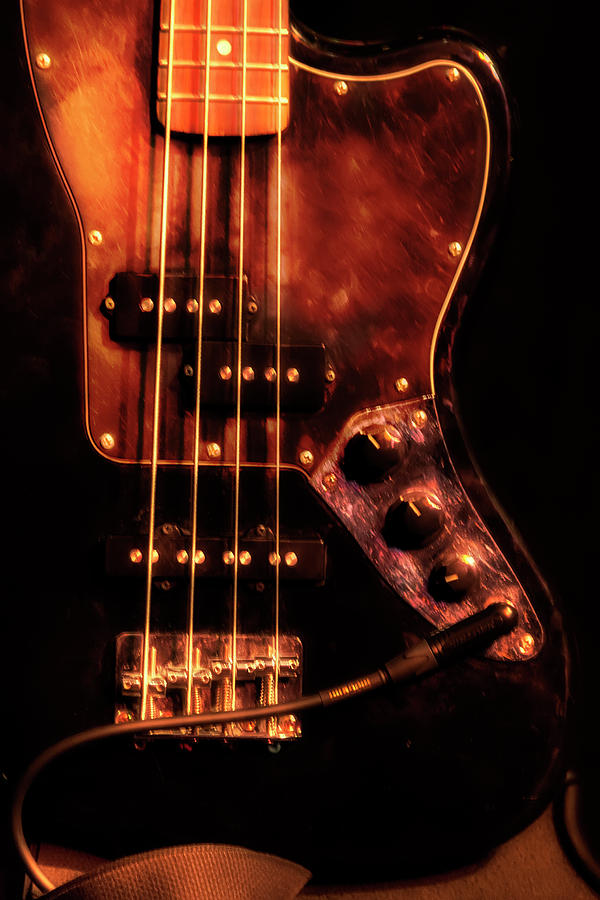 Four Strings Bass Photograph by Micah Offman