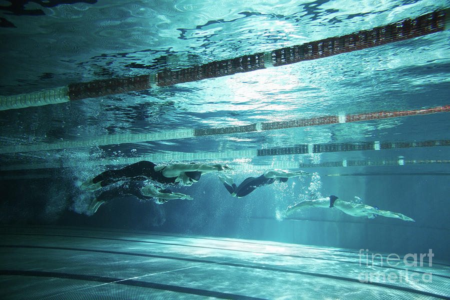 Four Swimmers Underwater On Swimming Photograph by Stanislaw Pytel