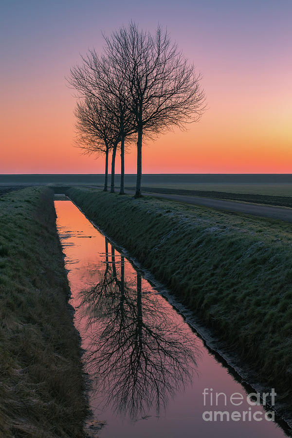 Four Trees At Sunrise Photograph by Henk Meijer Photography