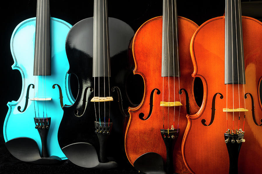 Four Violins Photograph by Garry Gay