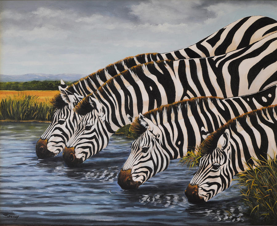 Four Zebras Drinking Painting by Charles Berry