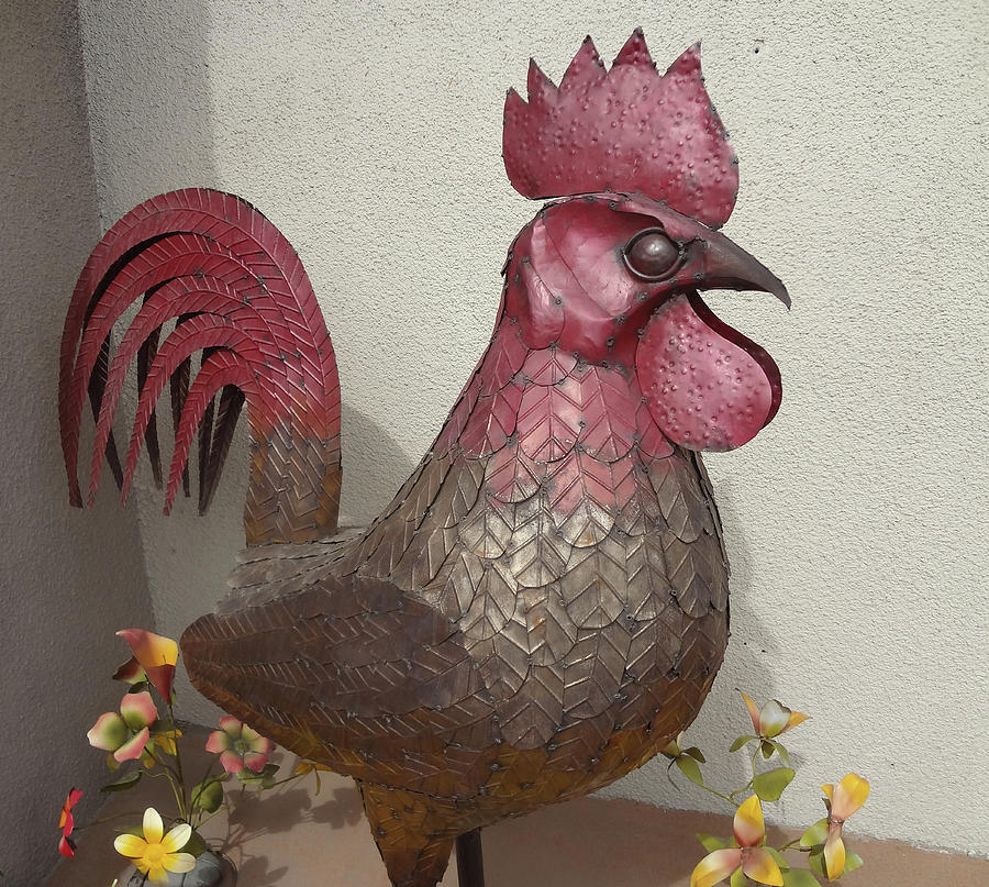 Fowl Metal Sculpture Photograph by Bruce IORIO