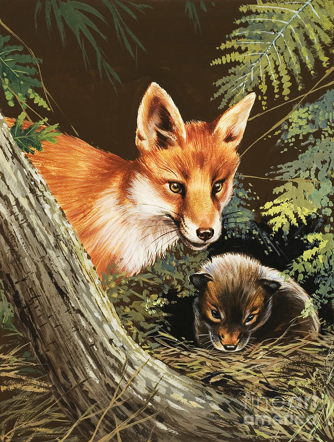 Fox And Fox Cub Painting by Unknown - Fine Art America