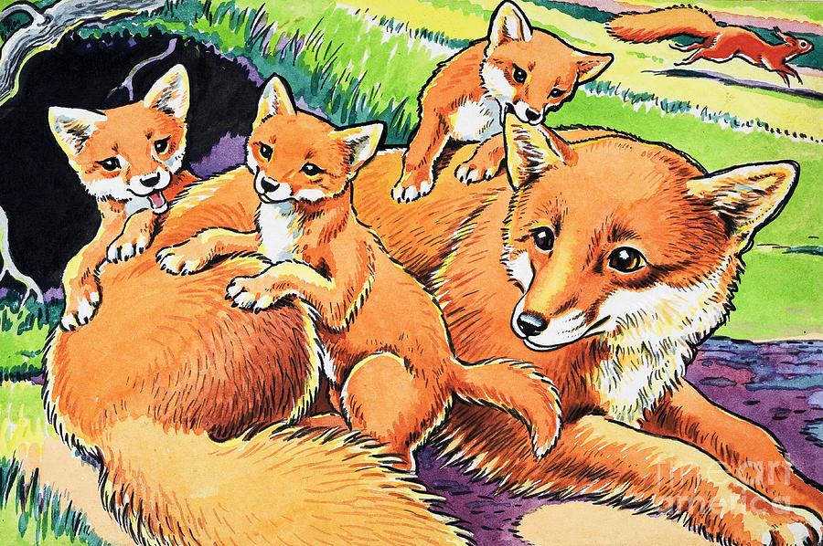 Fox and her cubs Painting by Harry M Pettit