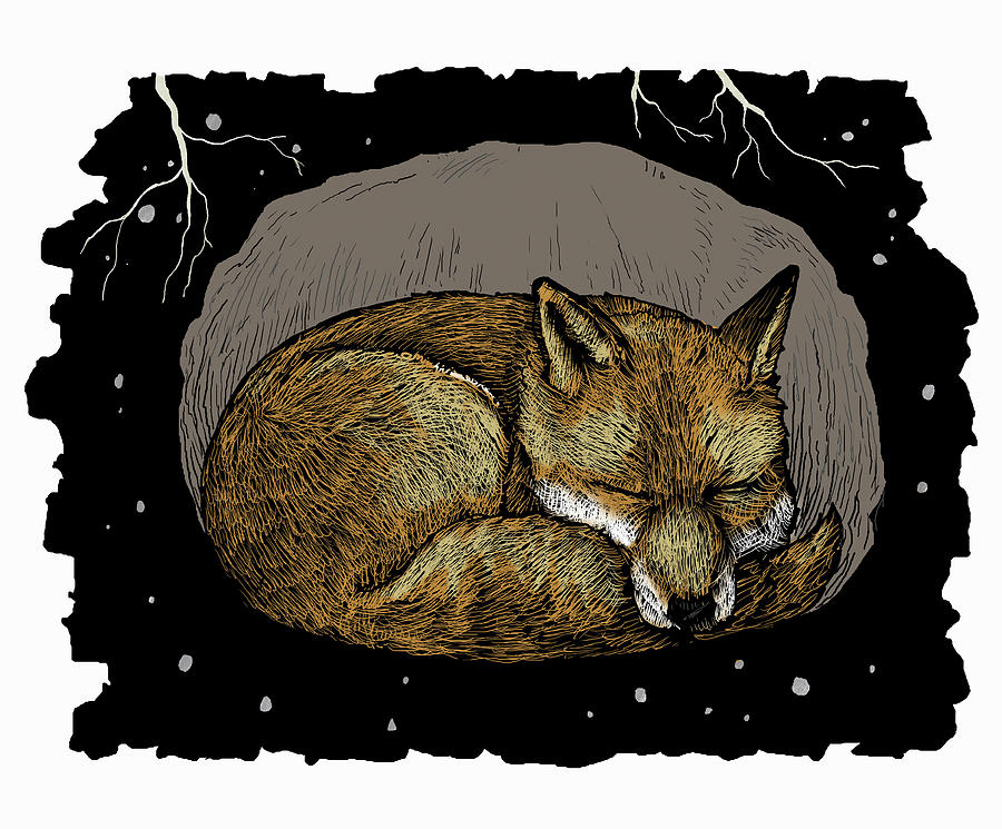 Fox Asleep In Underground Den Photograph by Ikon Images