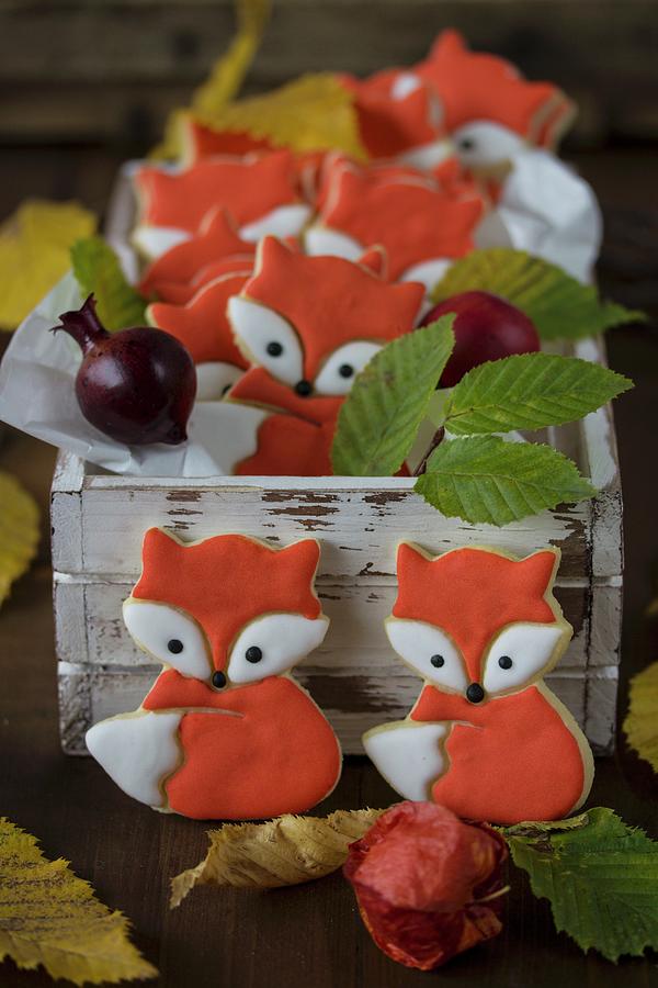 Fox Biscuits With Royal Icing Photograph by Emma Friedrichs