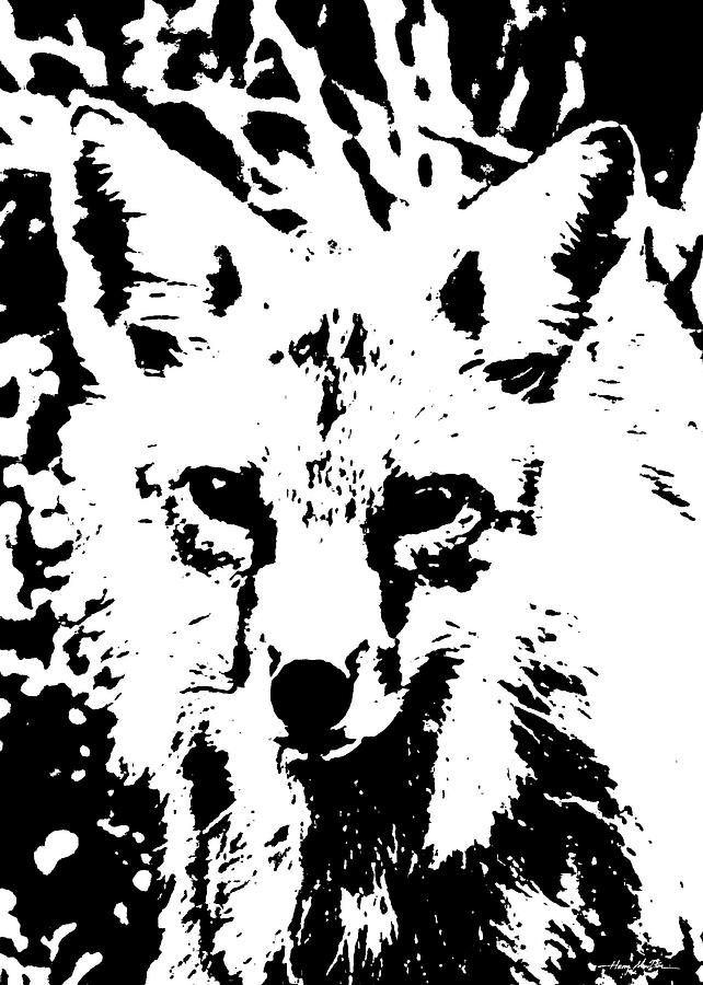 Fox Digital Art by Harry Moulton