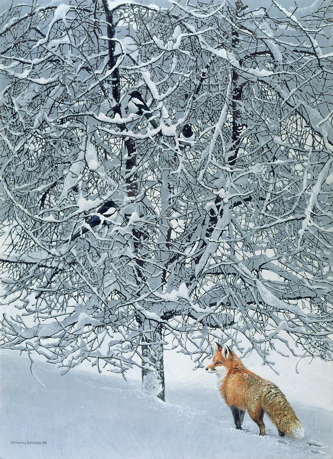 Fox In Snow Painting by Harro Maass