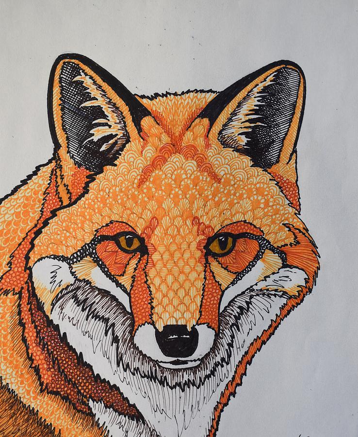 Fox Drawing by Lori Brooks