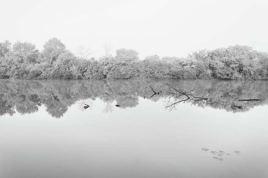 Tree Photograph - Fox River Reflections by Lauri Novak