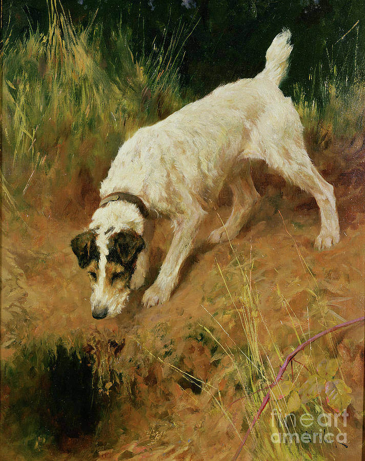Dog Painting - Fox Terrier by Arthur Wardle