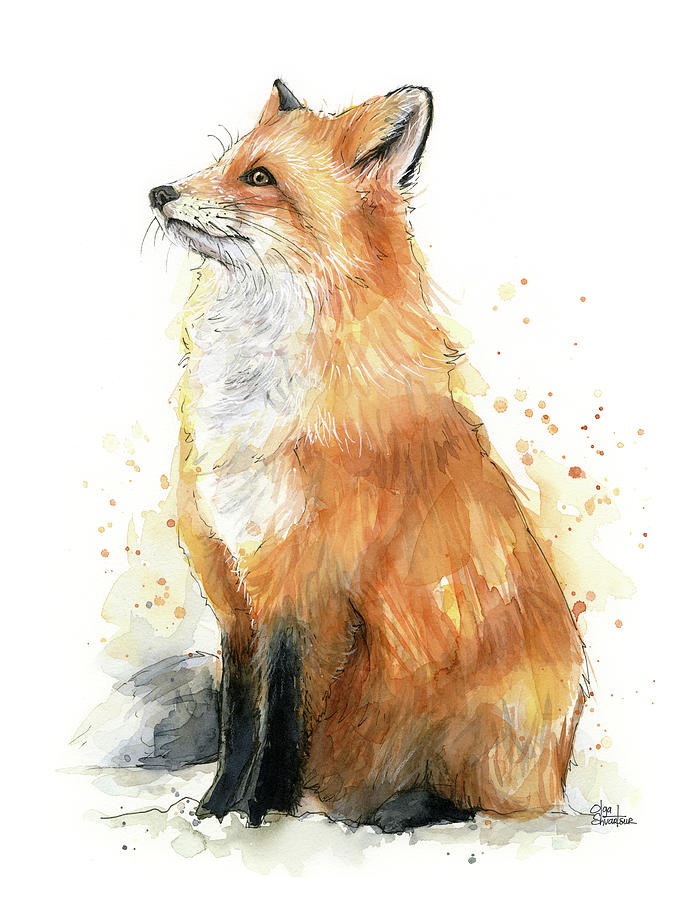 Fox Painting - Fox Watercolor by Olga Shvartsur