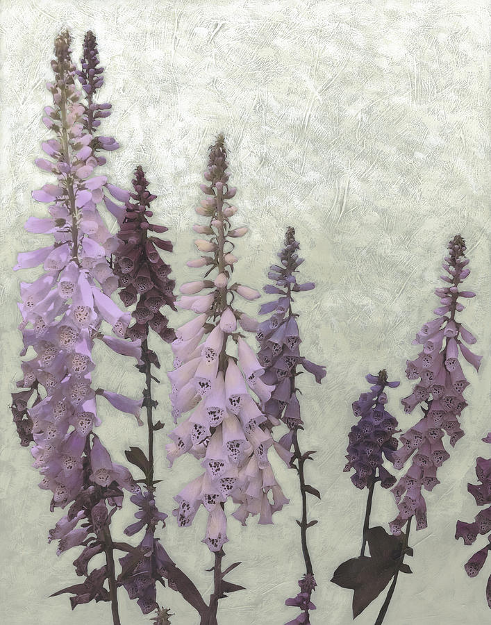 Flower Painting - Foxgloves II by Chariklia Zarris