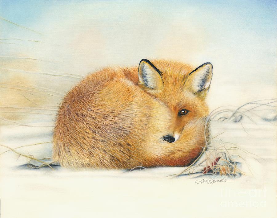 Foxy Pastel by Barby Schacher