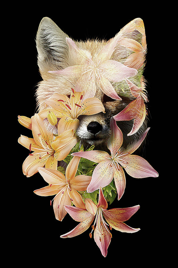 Foxy.it Foxy Bouquet.