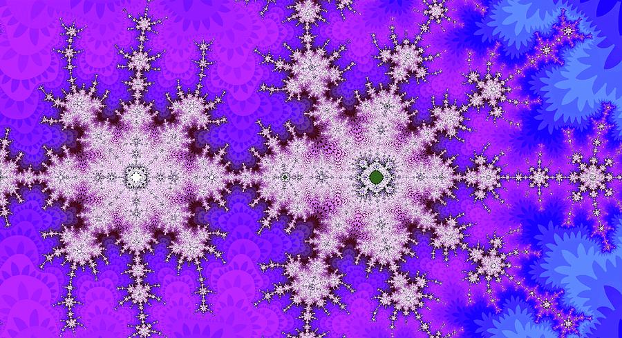 Fractal Follow Purple Digital Art by Don Northup