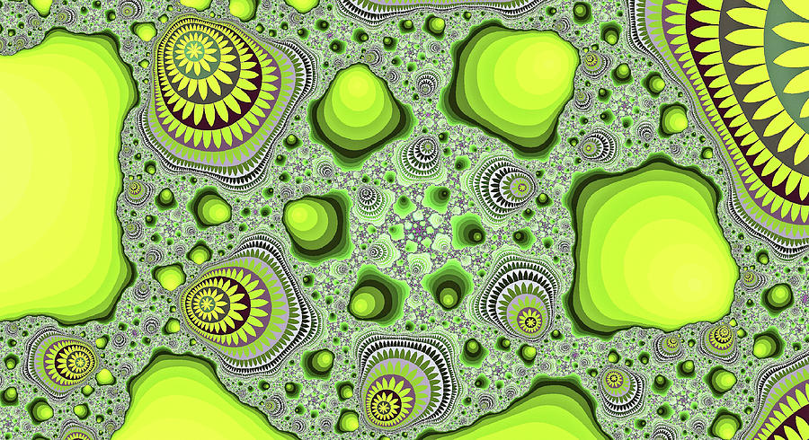 Fractal Range Green Abstract Art Image Digital Art by Don Northup