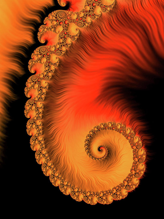 Fractal Spiral Art orange red and black Digital Art by Matthias Hauser