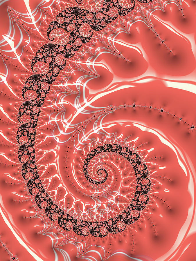 Fractal Spiral Living Coral Digital Art by Matthias Hauser