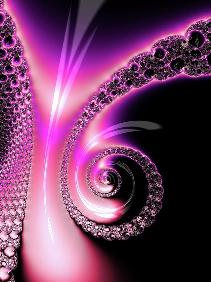 Fractal Spiral pink purple and black Photograph by Matthias Hauser