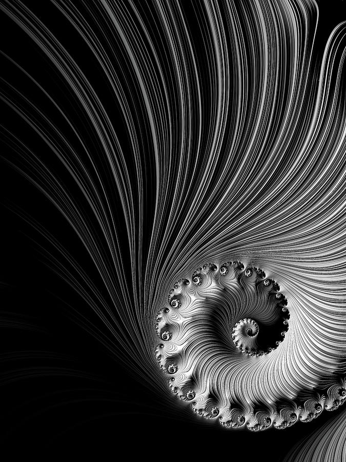 Fractal Spiral with stripes black and white Digital Art by Matthias Hauser
